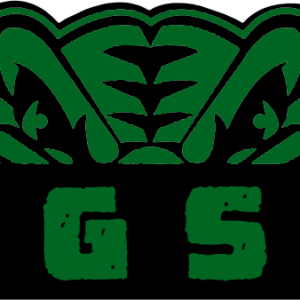 Pine Gate Swim Team